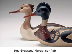 red-breasted merganser pair
